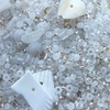 20130416xx045.jpg